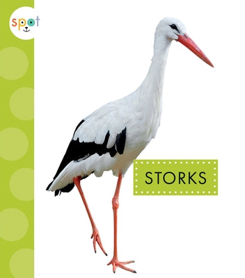 Storks by Amstutz, Lisa