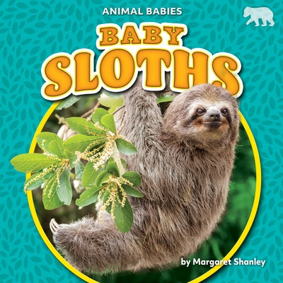 Baby Sloths by Shanley, Margaret