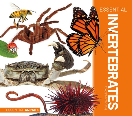 Essential Invertebrates by Krekelberg, Alyssa