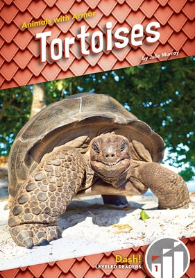 Tortoises by Murray, Julie