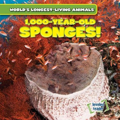 1,000-Year-Old Sponges! by Kelly, Joni