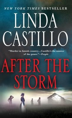 After the Storm by Castillo, Linda