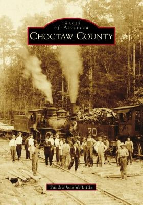 Choctaw County by Little, Sandra Jenkins