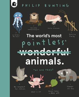 The World's Most Pointless Animals: Or Are They? by Bunting, Philip