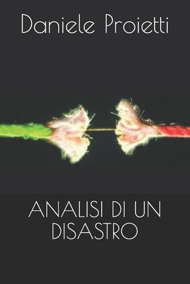 Analisi Di Un Disastro by Proietti, Daniele