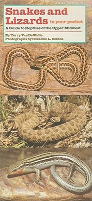 Snakes and Lizards in Your Pocket: A Guide to Reptiles of the Upper Midwest by Vandewalle, Terry