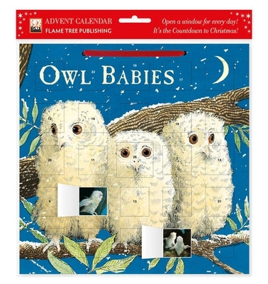 Owl Babies Advent Calendar (with Stickers) by Flame Tree Studio