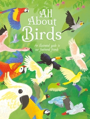 All about Birds: An Illustrated Guide to Our Feathered Friends by Cheeseman, Polly