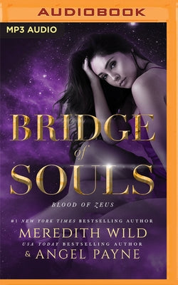 Bridge of Souls by Wild, Meredith