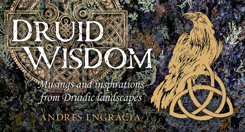 Druid Wisdom: 40 Full-Color Inspiration Cards by Engracia, Andres