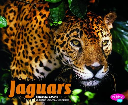 Jaguars by Marks, Jennifer L.
