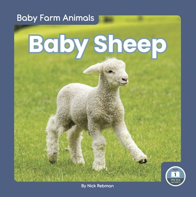 Baby Sheep by Rebman, Nick