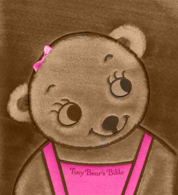 Tiny Bear Bible Mini by Lloyd Jones, Sally