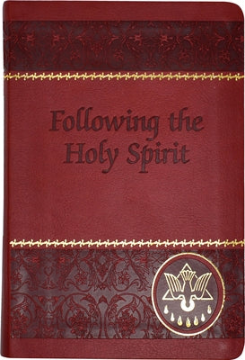 Following the Holy Spirit: Dialogues, Prayers, and Devotions by Van De Putte, Walter