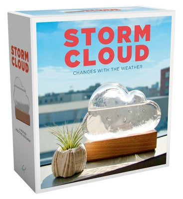 Storm Cloud: A Weather Predicting Instrument (Weather Predictor, Fun Cloud-Shaped Barometer) by Bitten
