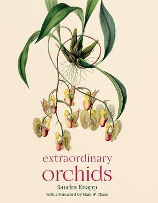 Extraordinary Orchids by Knapp, Sandra