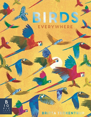 Birds Everywhere by de La Bedoyere, Camilla