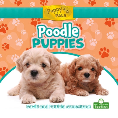 Poodle Puppies by Armentrout, David