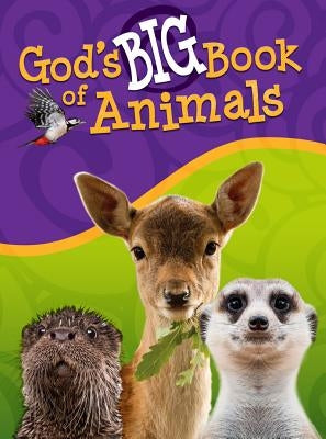 God's Big Book of Animals by Kashtan, Orit