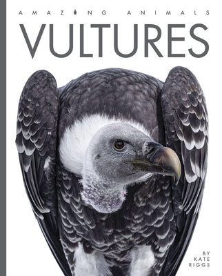 Vultures by Riggs, Kate