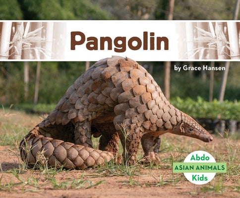 Pangolin by Hansen, Grace