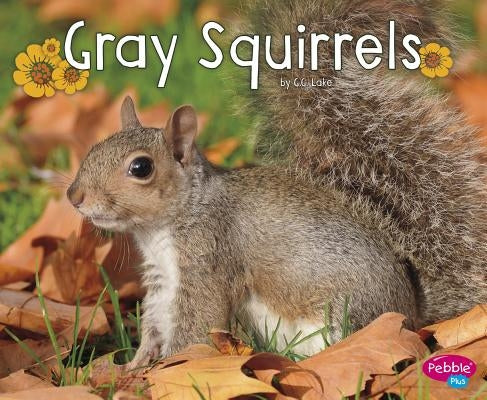 Gray Squirrels by Lake, G. G.