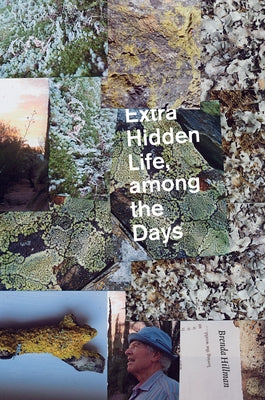 Extra Hidden Life, Among the Days by Hillman, Brenda