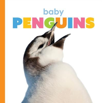 Baby Penguins by Riggs, Kate