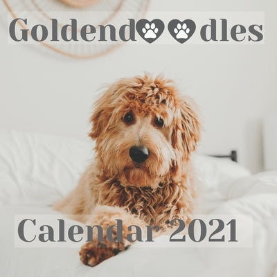 Goldendoodles Calendar 2021: Happy Puppy Relaxation Calendar And Desk Planner Calendar Organizer Perfect For Goldendoodles Lovers by Calendar, Golden