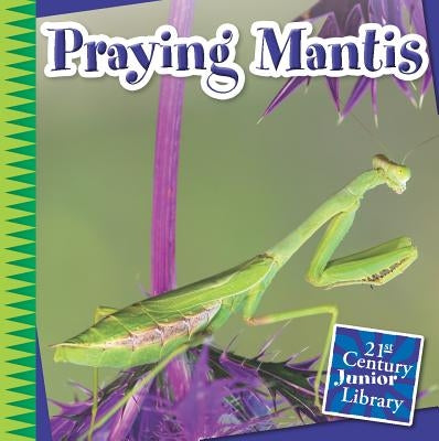 Praying Mantis by Orr, Tamra B.