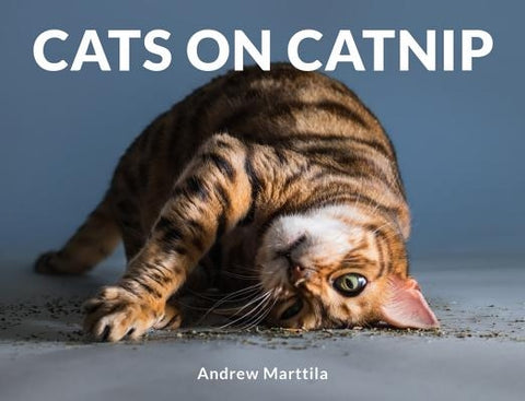 Cats on Catnip by Marttila, Andrew