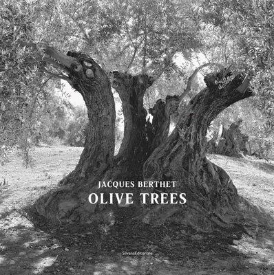 Jacques Berthet: Olive Trees by Berthet, Jacques