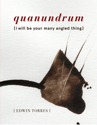 Quanundrum: [I Will Be Your Many Angled Thing] by Torres, Edwin