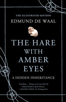 The Hare with Amber Eyes (Illustrated Edition): A Hidden Inheritance by de Waal, Edmund