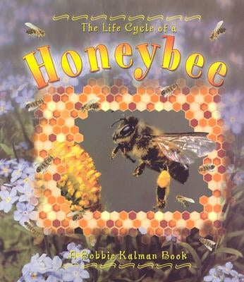 Honeybee by Kalman, Bobbie
