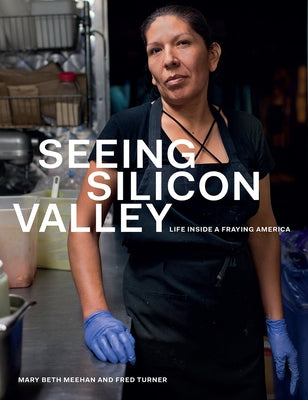 Seeing Silicon Valley: Life Inside a Fraying America by Meehan, Mary Beth