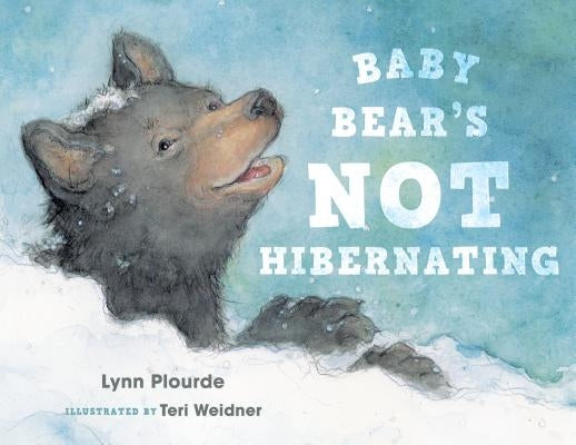 Baby Bear's Not Hibernating by Plourde, Lynn