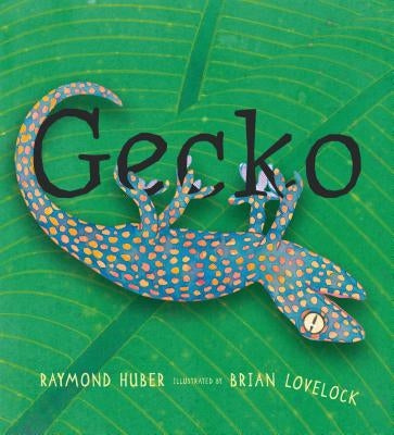 Gecko by Huber, Raymond
