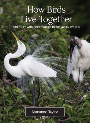 How Birds Live Together: Colonies and Communities in the Avian World by Taylor, Marianne