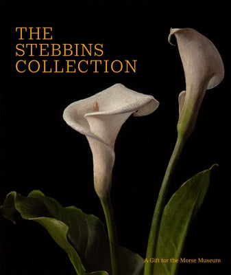 The Stebbins Collection: A Gift for the Morse Museum by Palm, Regina