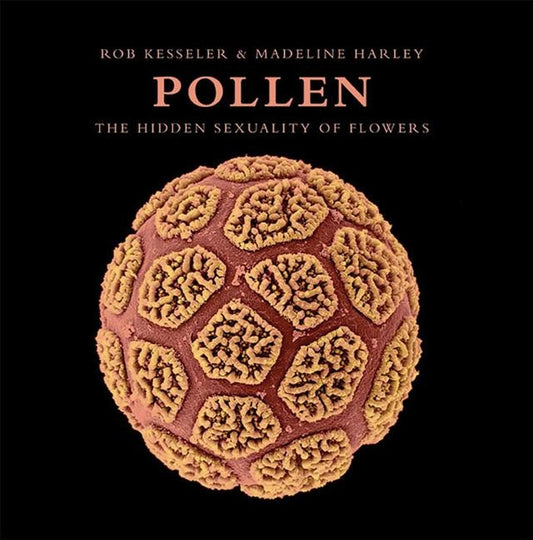Pollen: The Hidden Sexuality of Flowers by Kesseler, Rob