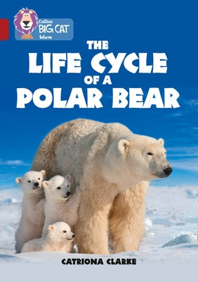 Collins Big Cat - The Life Cycle of a Polar Bear: Band 14/Ruby by Clarke, Catronia