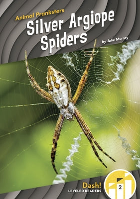 Silver Argiope Spiders by Murray, Julie