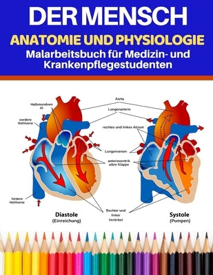 Der Mensch Anatomie und Physiologie Malarbeitsbuch für Medizin- und Krankenpflegestudenten: Lernen Sie Anatomie und Physiologie auf einfachste und eff by Armen Valantin