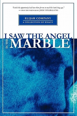 I Saw the Angel in the Marble by Davis, Chris