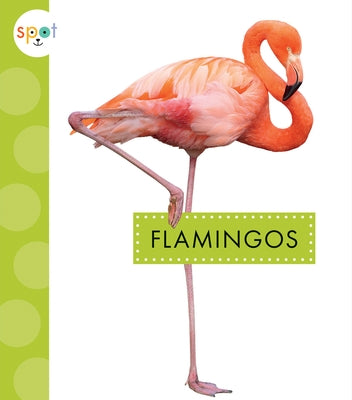 Flamingos by Amstutz, Lisa