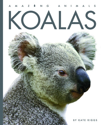 Koalas by Bodden, Valerie