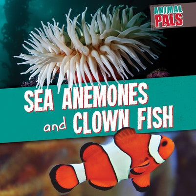 Sea Anemones and Clown Fish by Levy, Janey