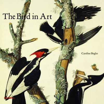 The Bird in Art by Bugler, Caroline