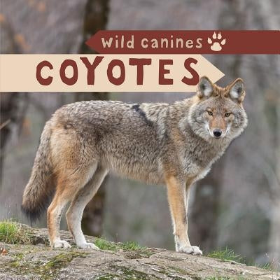 Coyotes by Avett, Harper